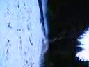 harmless-freride.html