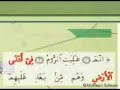 فيديو يتحدث عن الاعجاز العلمي في قول الله تعالى غلبت الروم في ادنى الارض و هم من بعد غلبهم سيغلبون في بضع سنين
