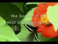 the horror of the mist of disney ep. 13