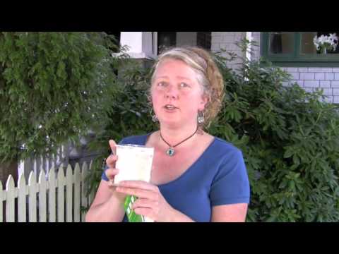 how to treat eelworm