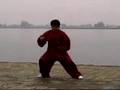 Chen Taiji quan Master Chenyu Performs Er Lu View Video