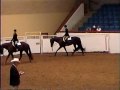 tellatall Detail,Hunter Under Saddle,AQHYA World