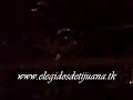 Los Elegidos De Tijuana - La Perra Parida