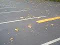 M4V01898.MP4