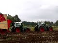 Maize harvesting 2007 Maize harvesting 2007