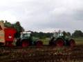 Maize harvesting 2007