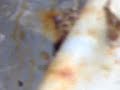 Thumbnail #2