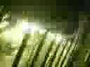 Soaking-Paramount-ki
