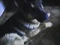 videos de Diane At Graham Crescent.wmv