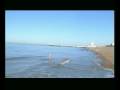 the low tide riders, coming soon...