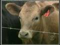 Farmers Face Rising Costs