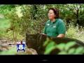 Bear Spotted in Ohio