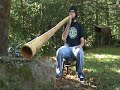 Demo of Chad Butler Didj in key of D