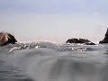 Mini Tsunami Mini Tsunami