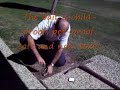 Green Termite Bait Demo