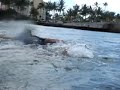 1-boogie-boarding-bodyboarding-jumping-waikiki-smiledk.html