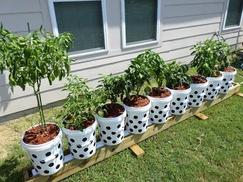 gardening - Thanks So Much For Watching The Video! See All My Most Popular Video's By Category On Pinterest! http://www.pinterest.com/larryhall50/boards/ We can really h...