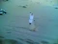 شوفوه كيف دبل