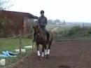 Drusilla dressyr 071026