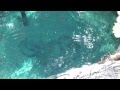 名水百選　柿田川湧水群（静岡）