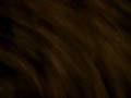 videos de winter wonderland part 7