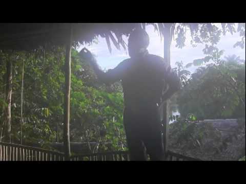 how to practice shamanism