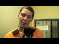 Click here to watch this video Pocono Pet of the Week: Fauna