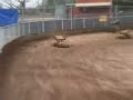 1/4 Scale Sprintcars @ LQSS