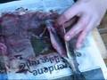How to disembowel a fish - Lesson 1