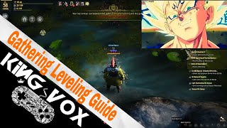 Black Desert Online - How to Power level Gathering