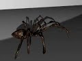 Render Aranha 3d Max 2
