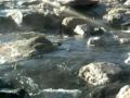 Geysers del Tatio