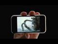 iPhone new ad: Calamari