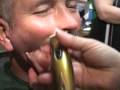 IL STATE POLICE-ST BALDRICKS 2009(Channahon,IL)