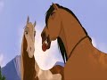 Stallion  of the Cimarron / Mustang z Dzikiej Doliny