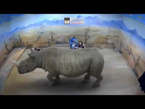 Illusion 3D Art Museum Kuala Lumpur 01 Air Land Sea