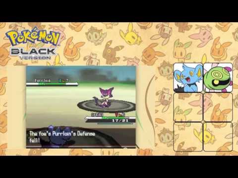 how to beat n pokemon black