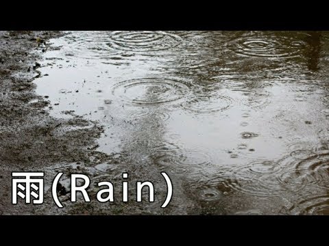 動画
