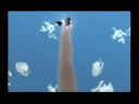 Super Smash Brothers Brawl Subspace Emissary Stage 16