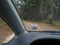 disc golf trail