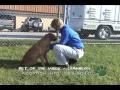 Pets of the Week Show for December 11, 2009
