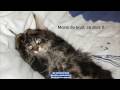 Oh belle-maman(Chanter par KaroKaraokeCountry)