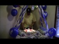 David's Birthday!