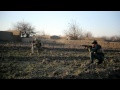 Firefights 1st Battalion 8th Marines in Helmand, Afghanistan