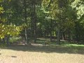 Calls at a distance