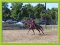 state 4h horse show