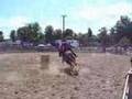 state 4h horse show