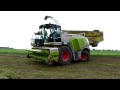 Claas jaguar 950