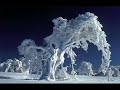 Beyond Light - In The Shadow Of A Dead Sun II