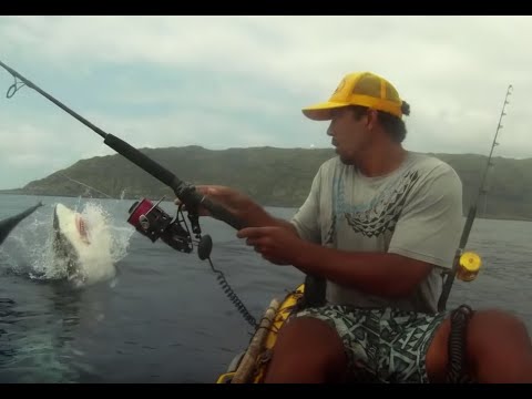 Tiburón pega buen susto a pescador en kayak